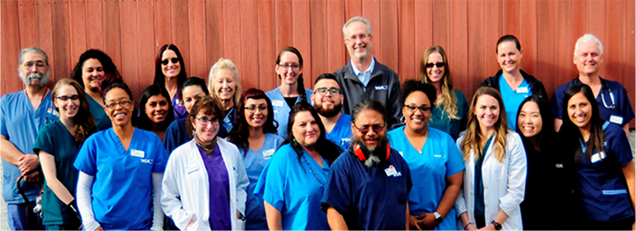 Your veterinarian's team.